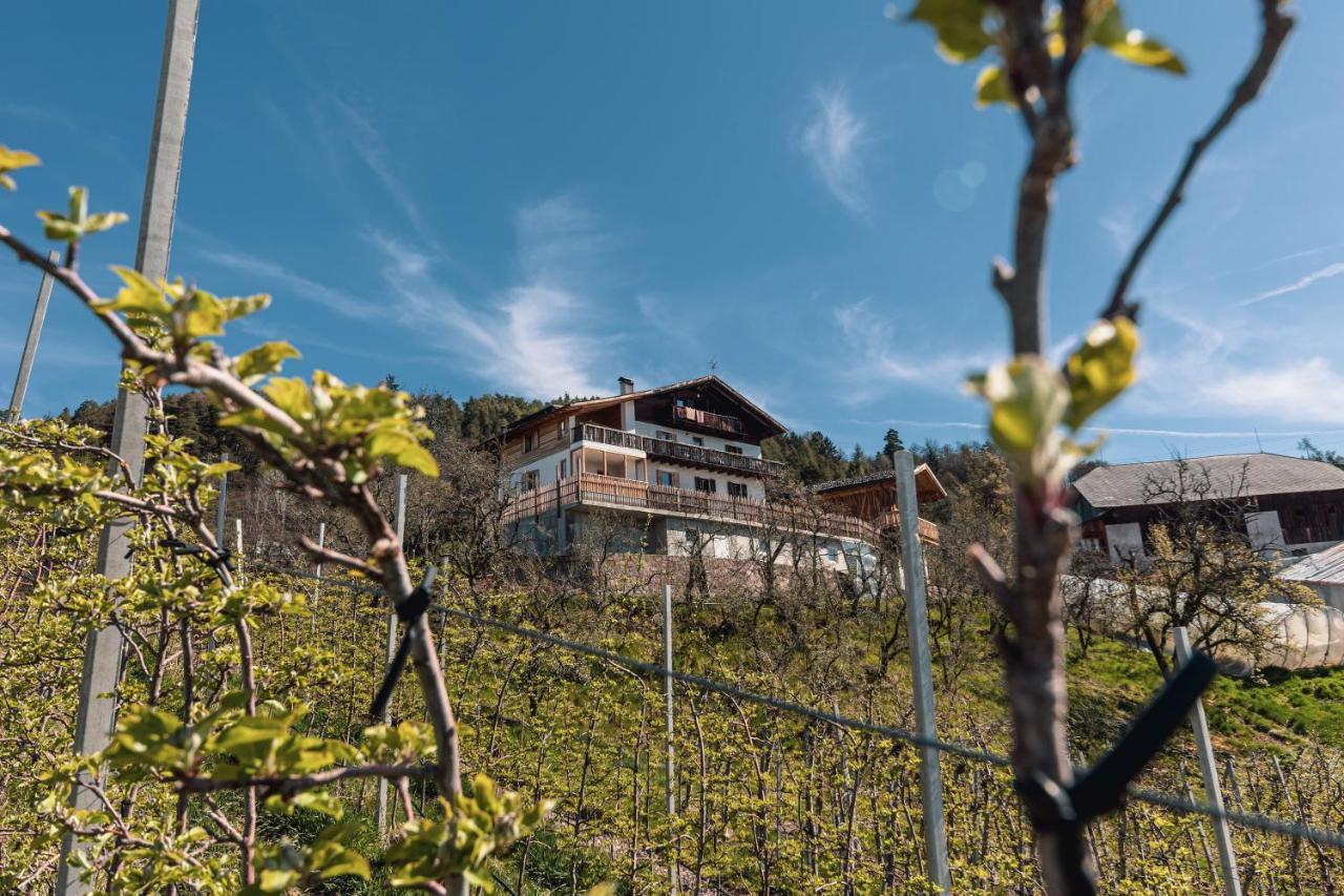 Malgorerhof Lavendel San Genesio Atesino Kültér fotó